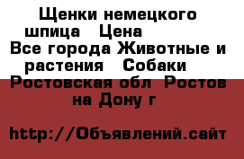 Щенки немецкого шпица › Цена ­ 20 000 - Все города Животные и растения » Собаки   . Ростовская обл.,Ростов-на-Дону г.